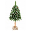 Malý vánoční stromeček borovice s kmenem 160cm