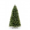 Vánoční stromek borovice se světlejšími větvičkami na koncích
