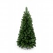 Zelený vánoční stromek s dlouhým jehličím