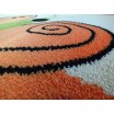 Oranžový koberec s motýlky a kvítky