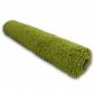Zelený koberec do obýváku s vláknem SHAGGY