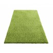 Zelený koberec do obýváku s vláknem SHAGGY