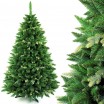 Krásná vánoční borovice s dvojími větvičkami