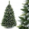 Vánoční stromek s bílými větvičkami borovice