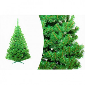Vánoční stromek v zelené barvě borovice