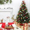 Vánoční stromek v zelené barvě borovice
