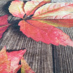 Krásný podzimní koberec listí na podlaze