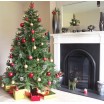 Tradiční zelený vánoční stromek 220 cm pro krásné vánoční období