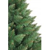 Vánoční borovice himálajská na pníku 220 cm