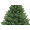 Vánoční borovice himálajská na pníku 220 cm