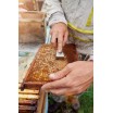 Včelařské dláto nerezové 20 cm