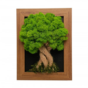Krásný mechový strom - tmavě hnědý rám 17 x 22 cm