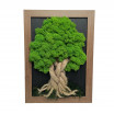 Krásný mechový strom - tmavě hnědý rám 25 x 34 cm