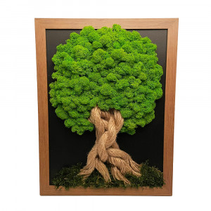 Unikátní mechový strom - tmavě hnědý rám 34 x 44 cm