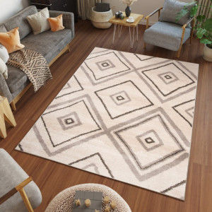 Měkký a moderní koberec