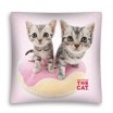 Dětské dekorační povlaky s kočičkami